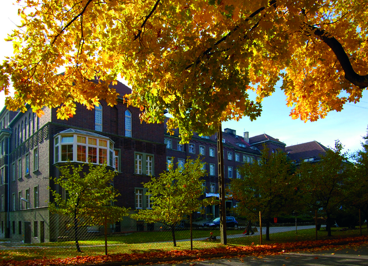 Model kontroli menedżerskiej jako odpowiedź na wyzwania reformy szpitalnictwa – doświadczenia Szpitala Psychiatrycznego we Fromborku